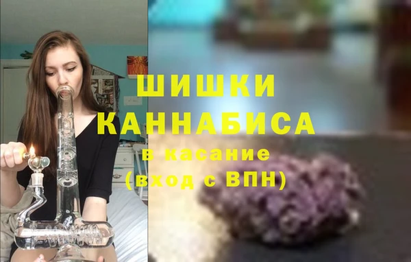 метадон Новодвинск