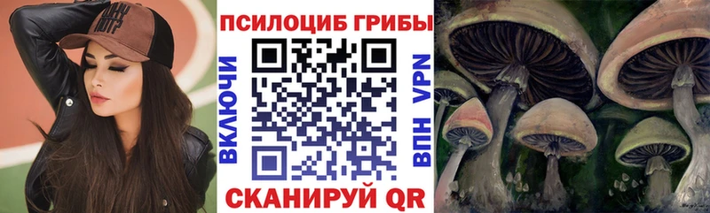 Галлюциногенные грибы MAGIC MUSHROOMS  сколько стоит  Подольск 