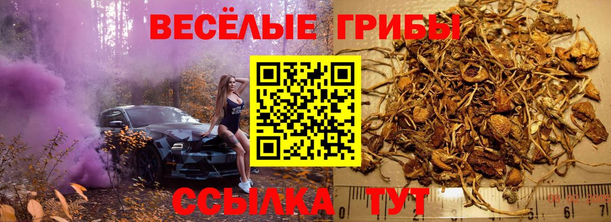 Галлюциногенные грибы мицелий  Псилоцибиновые грибы Magic Shrooms  Вход с VPN  наркотики  Подольск 