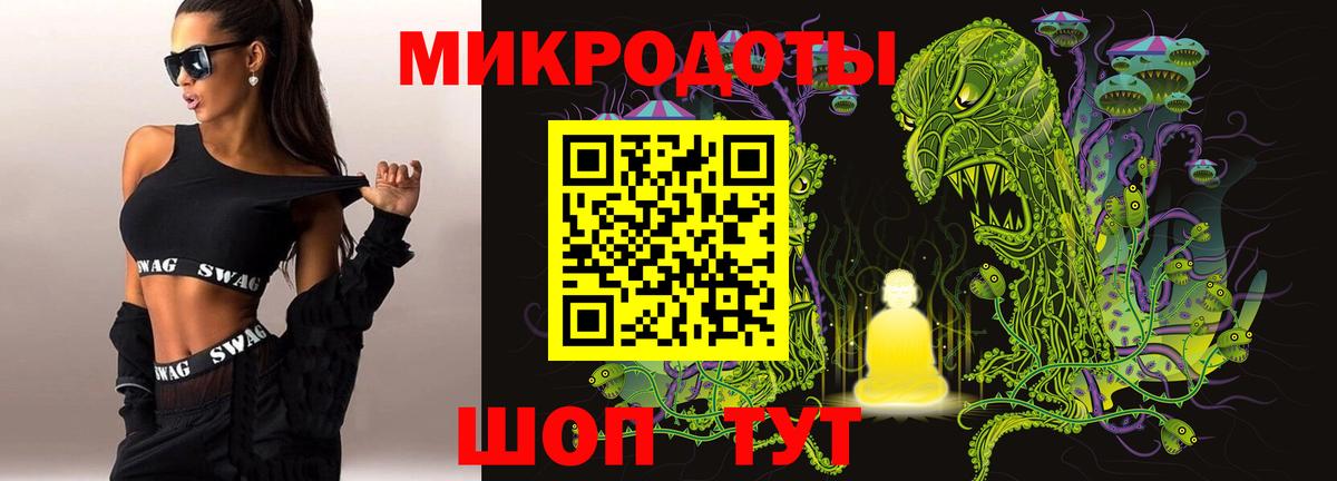 Галлюциногенные грибы Psilocybe Подольск